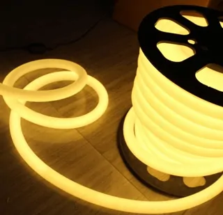 Neonflex LED